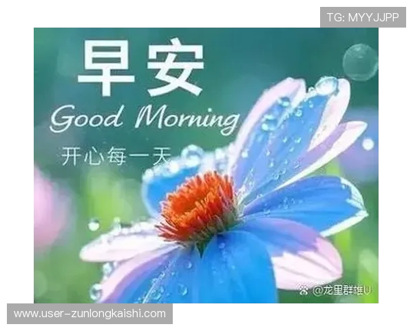 Z6人生：面对未来挑战，如何保持积极心态迎接每一天