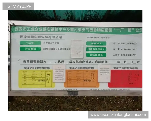 凯时这个平台怎么样：用户反馈与行业专家的综合评价